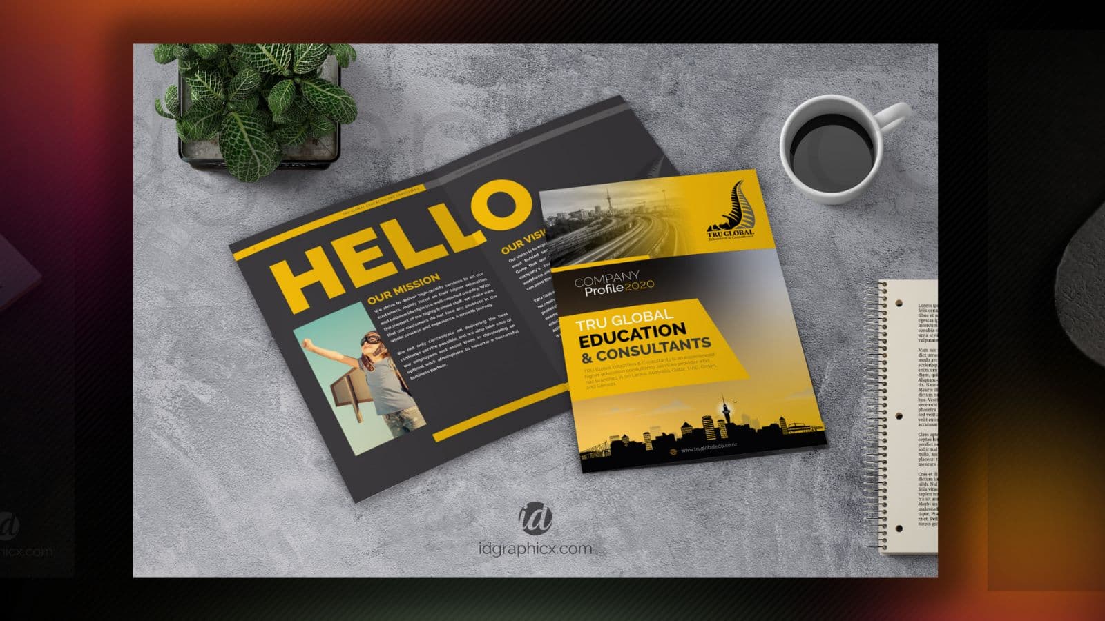 Brand Identity Direction