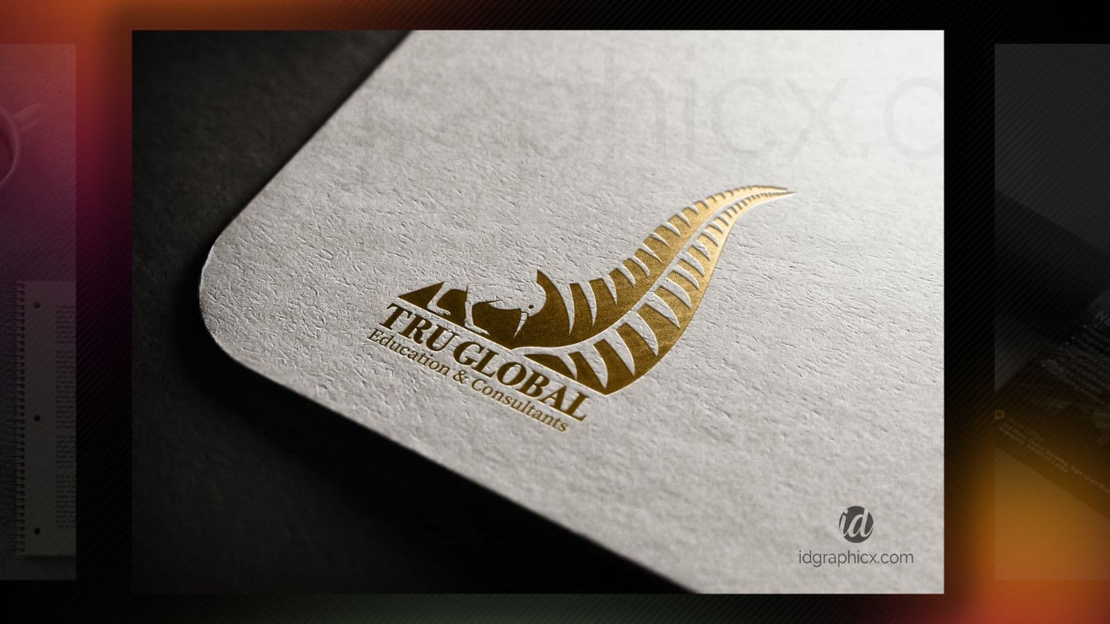 Brand Identity Direction